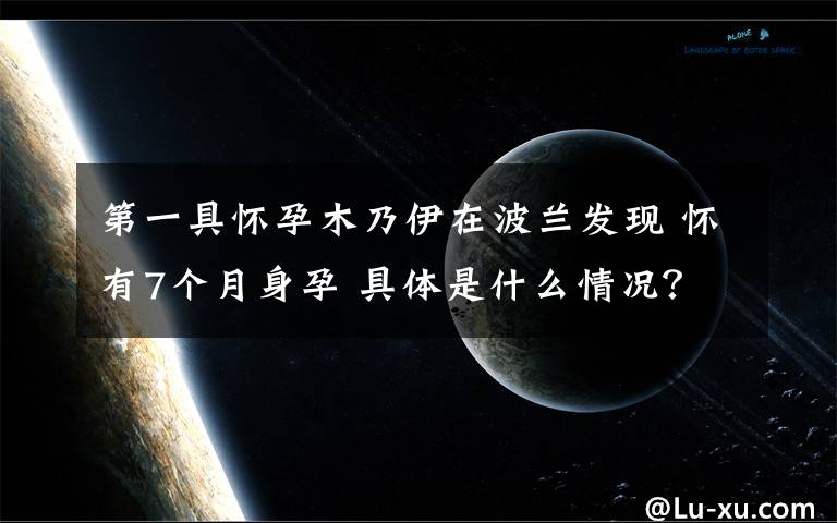 第一具怀孕木乃伊在波兰发现 怀有7个月身孕 具体是什么情况？