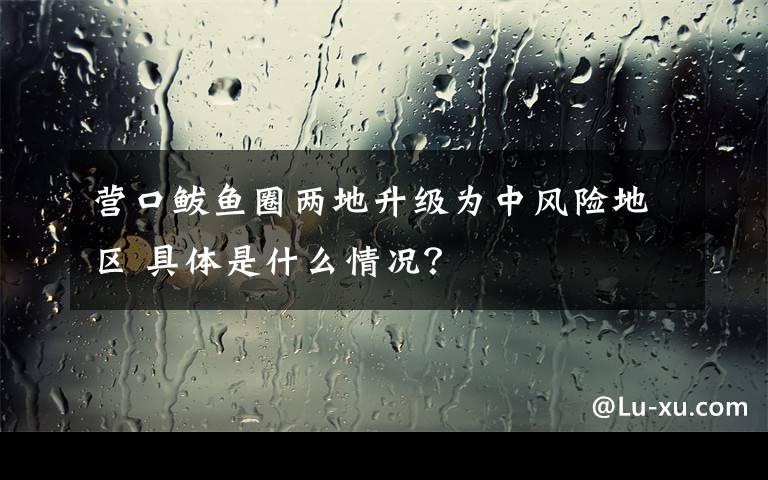 营口鲅鱼圈两地升级为中风险地区 具体是什么情况？