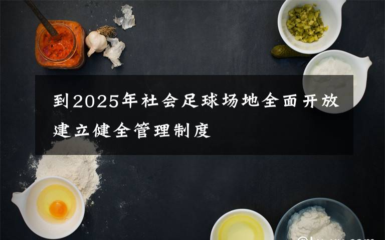  到2025年社会足球场地全面开放 建立健全管理制度