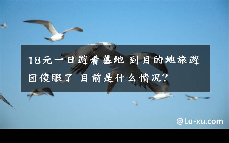 18元一日游看墓地 到目的地旅游团傻眼了 目前是什么情况？