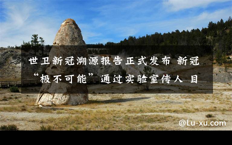 世卫新冠溯源报告正式发布 新冠“极不可能”通过实验室传人 目前是什么情况？
