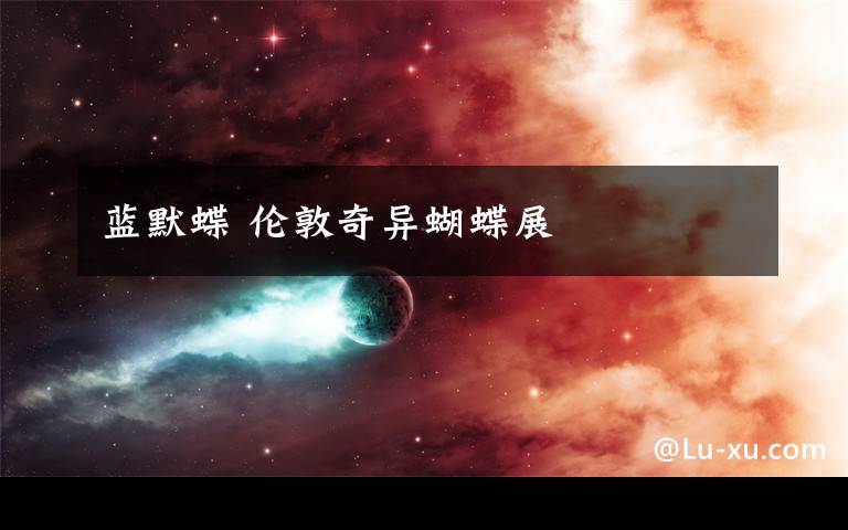 蓝默蝶 伦敦奇异蝴蝶展