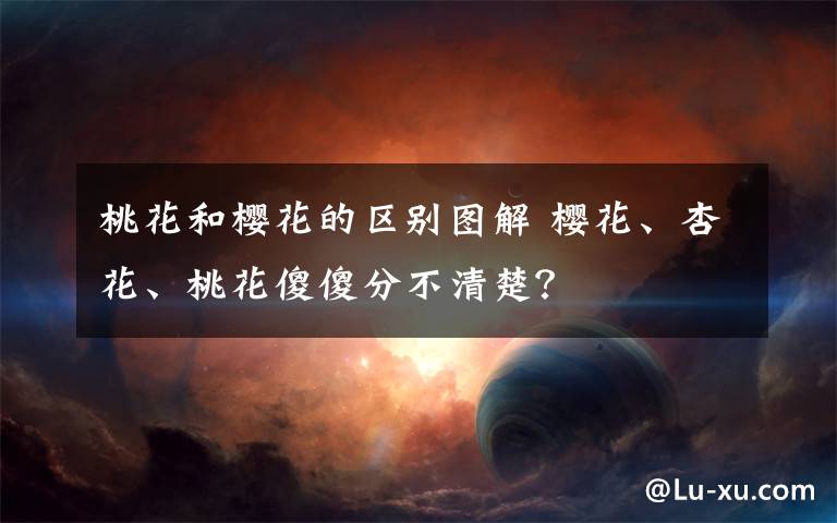 桃花和樱花的区别图解 樱花、杏花、桃花傻傻分不清楚？