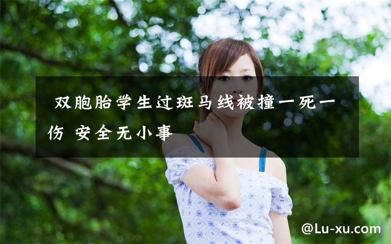  双胞胎学生过斑马线被撞一死一伤 安全无小事