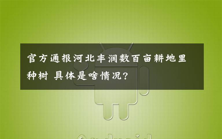 官方通报河北丰润数百亩耕地里种树 具体是啥情况?