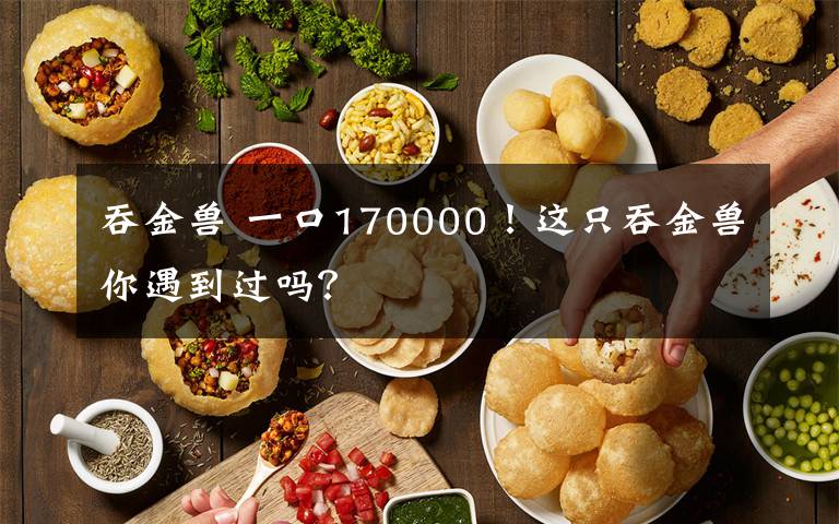 吞金兽 一口170000！这只吞金兽你遇到过吗？