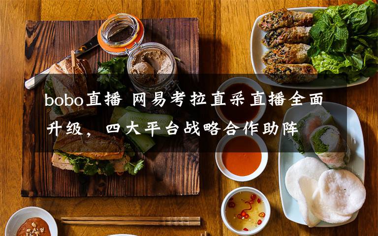 bobo直播 网易考拉直采直播全面升级，四大平台战略合作助阵