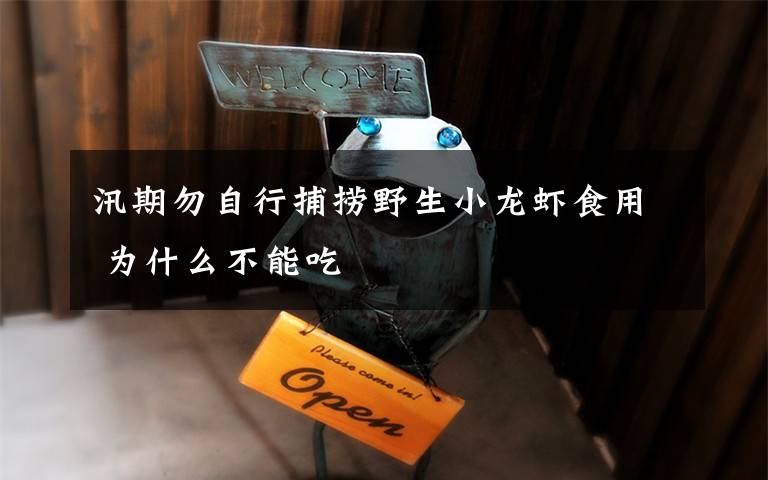 汛期勿自行捕捞野生小龙虾食用 为什么不能吃