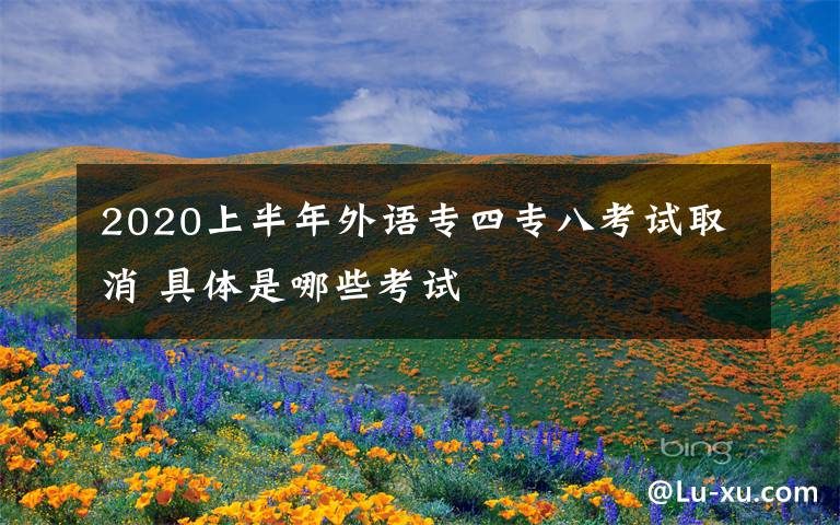 2020上半年外语专四专八考试取消 具体是哪些考试