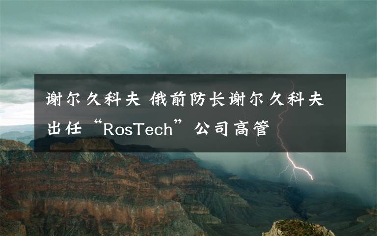 谢尔久科夫 俄前防长谢尔久科夫出任“RosTech”公司高管