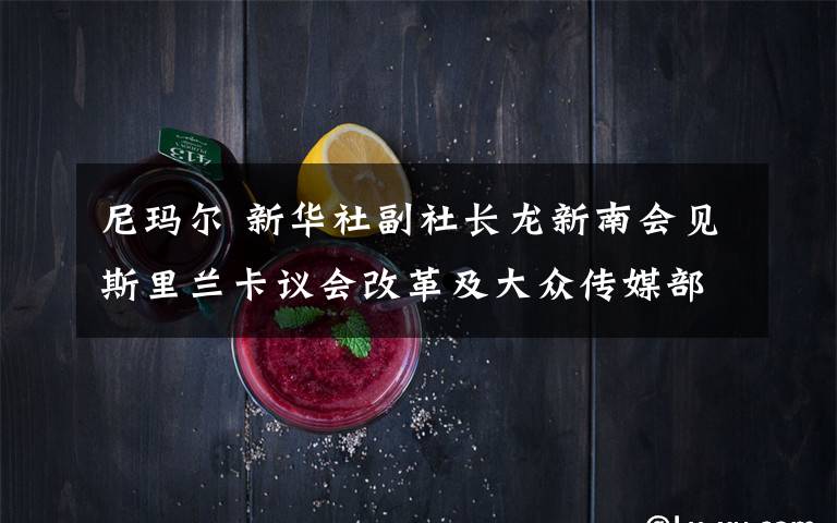 尼玛尔 新华社副社长龙新南会见斯里兰卡议会改革及大众传媒部部长