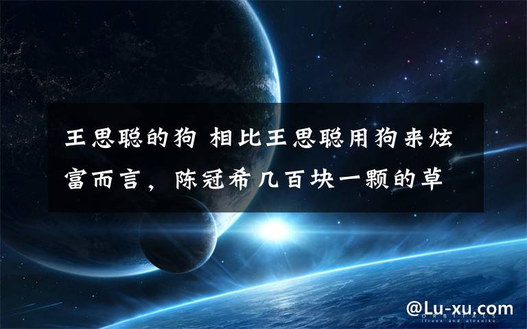 王思聪的狗 相比王思聪用狗来炫富而言，陈冠希几百块一颗的草莓才真是吃不起