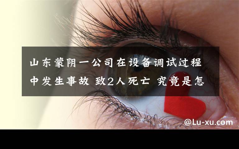 山东蒙阴一公司在设备调试过程中发生事故 致2人死亡 究竟是怎么一回事?