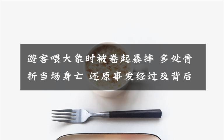 游客喂大象时被卷起暴摔 多处骨折当场身亡 还原事发经过及背后真相！