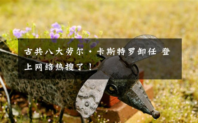 古共八大劳尔·卡斯特罗卸任 登上网络热搜了！