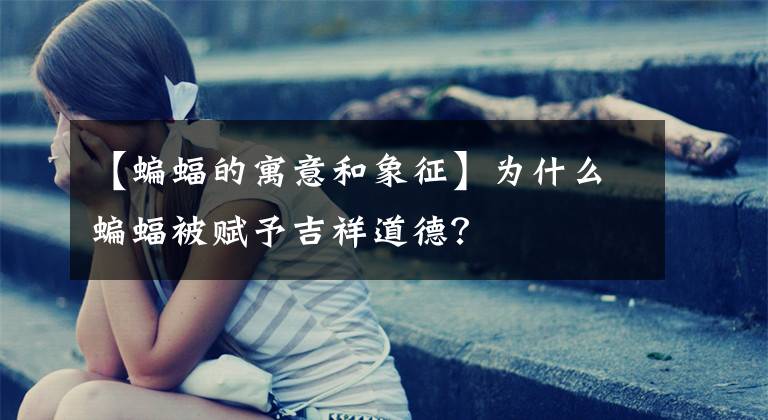 【蝙蝠的寓意和象征】为什么蝙蝠被赋予吉祥道德？