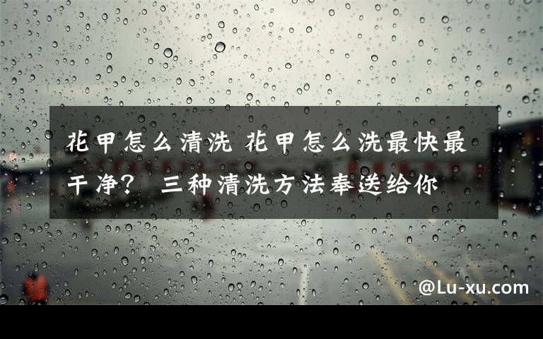 花甲怎么清洗 花甲怎么洗最快最干净？ 三种清洗方法奉送给你