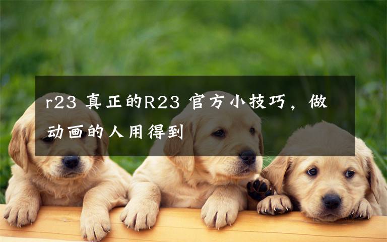 r23 真正的R23 官方小技巧，做动画的人用得到