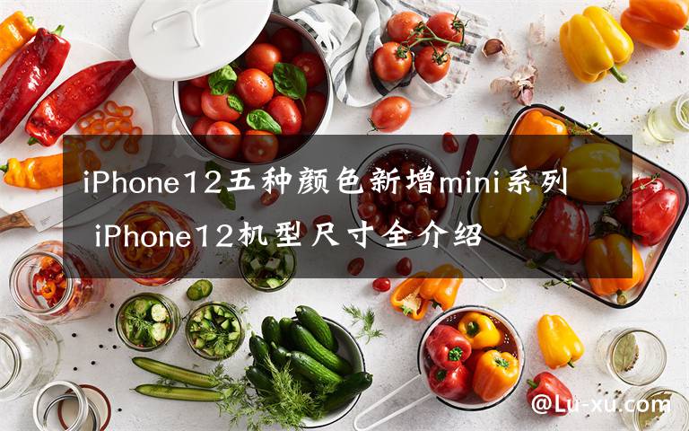 iPhone12五种颜色新增mini系列 iPhone12机型尺寸全介绍