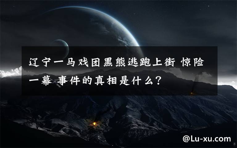 辽宁一马戏团黑熊逃跑上街 惊险一幕 事件的真相是什么？