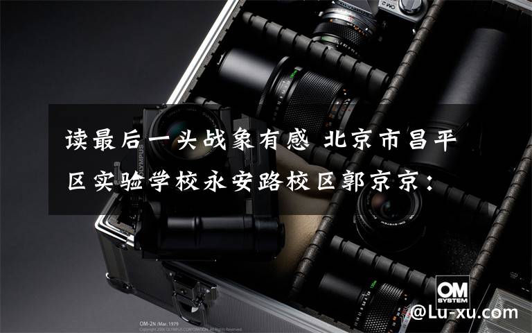 读最后一头战象有感 北京市昌平区实验学校永安路校区郭京京：读《最后一头战象》有感