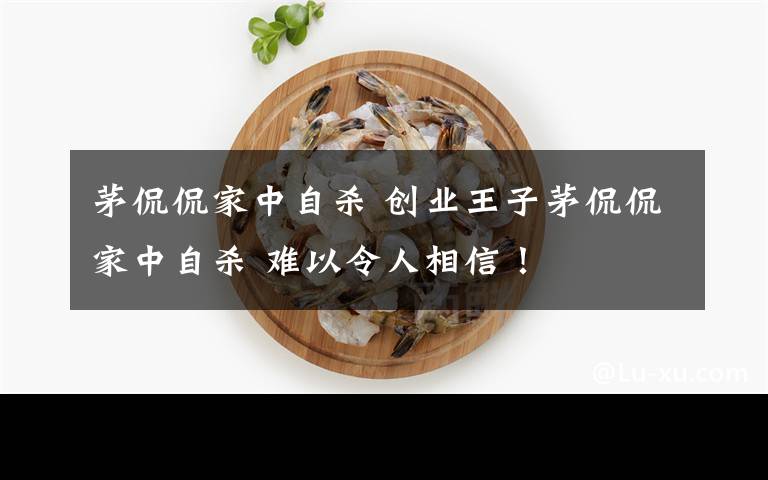 茅侃侃家中自杀 创业王子茅侃侃家中自杀 难以令人相信！