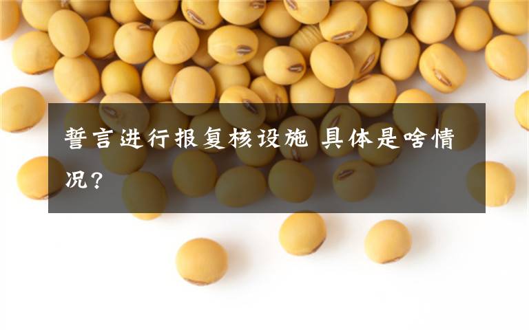 誓言进行报复核设施 具体是啥情况?