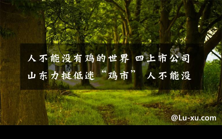 人不能没有鸡的世界 四上市公司山东力挺低迷“鸡市” 人不能没有鸡的世界