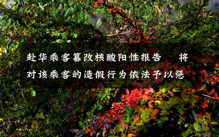 赴华乘客篡改核酸阳性报告  将对该乘客的造假行为依法予以惩处 对此大家怎么看？