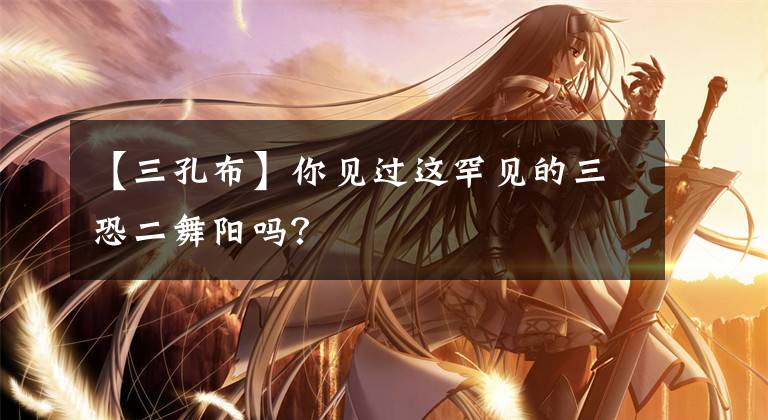 【三孔布】你见过这罕见的三恐二舞阳吗？