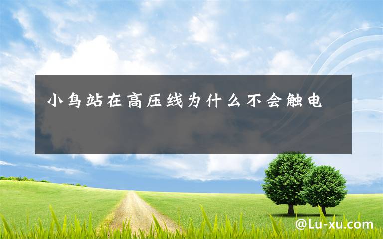 小鸟站在高压线为什么不会触电