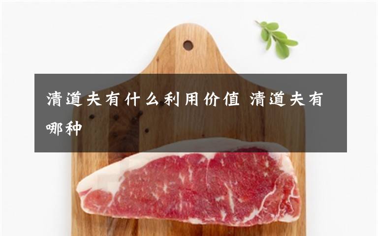 清道夫有什么利用价值 清道夫有哪种