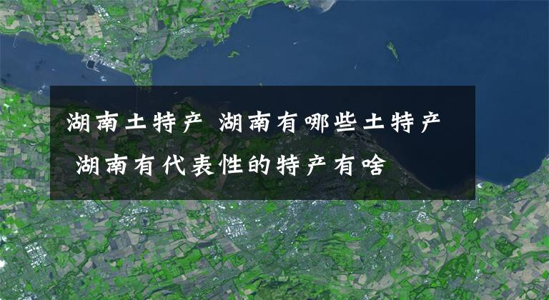 湖南土特产 湖南有哪些土特产 湖南有代表性的特产有啥