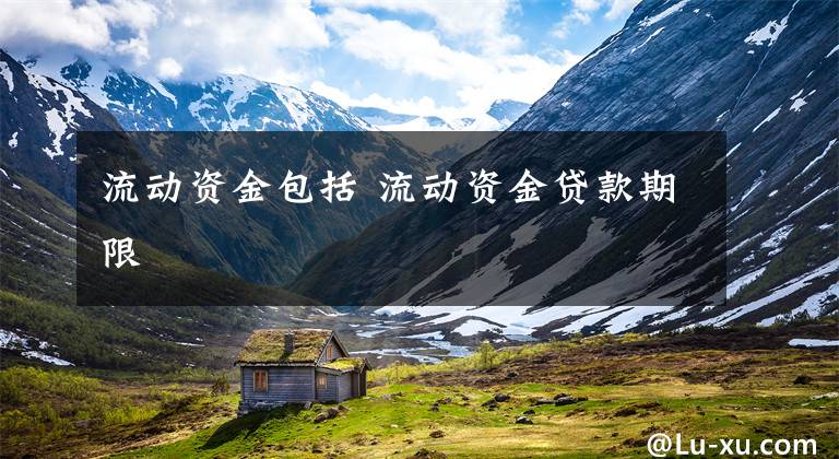 流动资金包括 流动资金贷款期限
