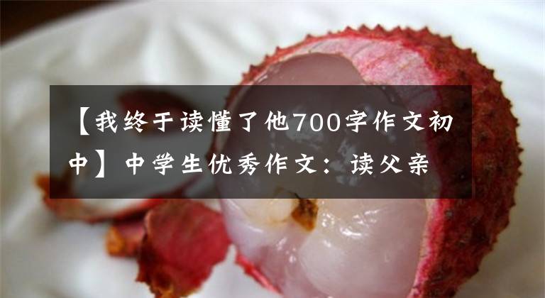 【我终于读懂了他700字作文初中】中学生优秀作文：读父亲