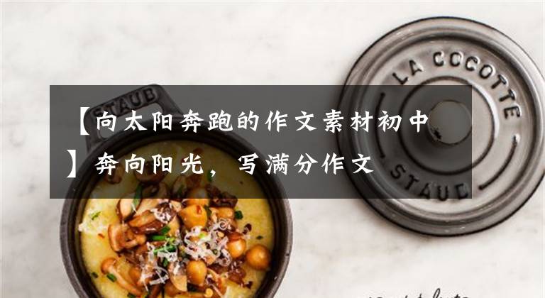 【向太阳奔跑的作文素材初中】奔向阳光，写满分作文
