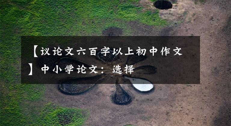 【议论文六百字以上初中作文】中小学论文：选择