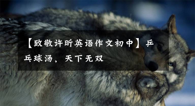 【致敬许昕英语作文初中】乒乓球汤，天下无双