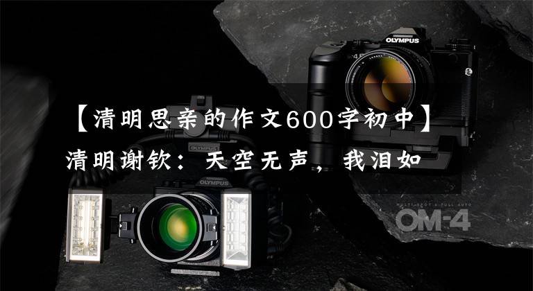 【清明思亲的作文600字初中】清明谢钦：天空无声，我泪如雨下。