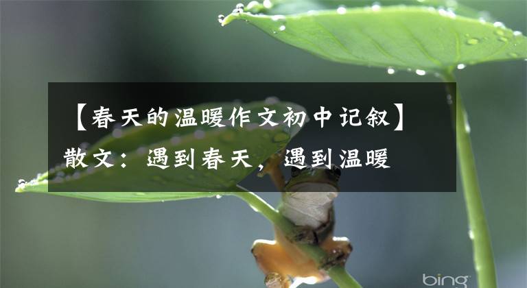 【春天的温暖作文初中记叙】散文：遇到春天，遇到温暖