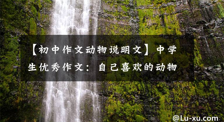 【初中作文动物说明文】中学生优秀作文：自己喜欢的动物