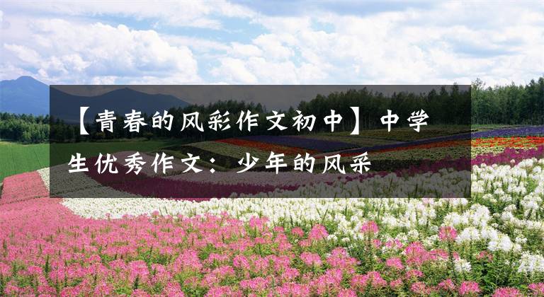 【青春的风彩作文初中】中学生优秀作文：少年的风采