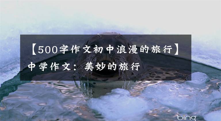 【500字作文初中浪漫的旅行】中学作文：美妙的旅行