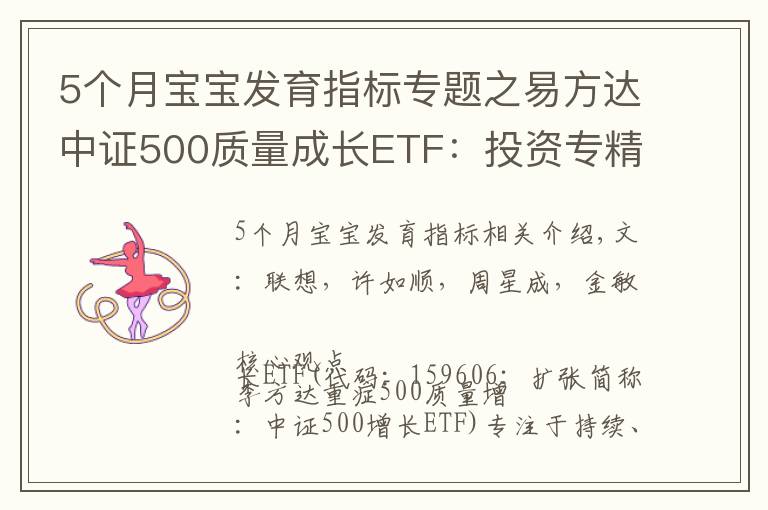 5个月宝宝发育指标专题之易方达中证500质量成长ETF：投资专精特新高质量成长（国信策略）