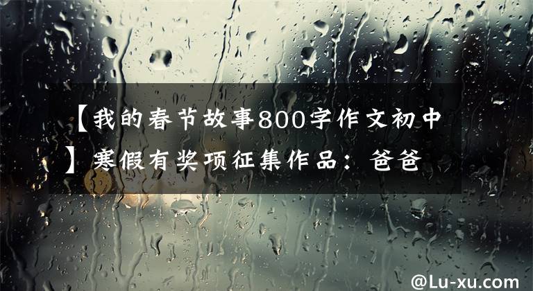 【我的春节故事800字作文初中】寒假有奖项征集作品：爸爸的游戏