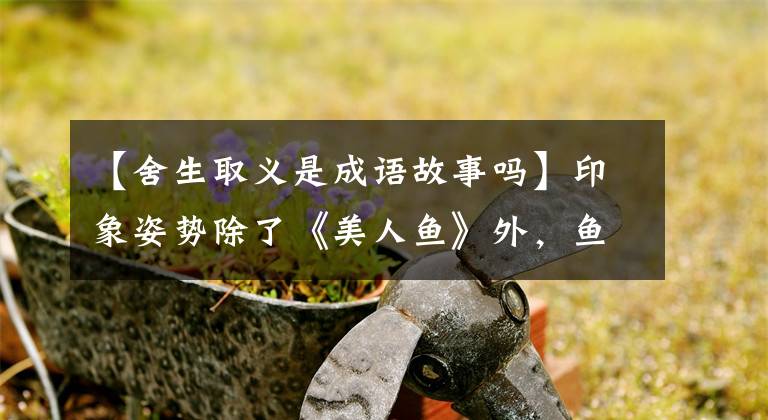 【舍生取义是成语故事吗】印象姿势除了《美人鱼》外，鱼儿们还有这样的故事