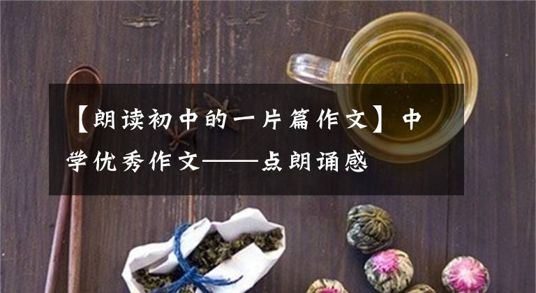 【朗读初中的一片篇作文】中学优秀作文——点朗诵感