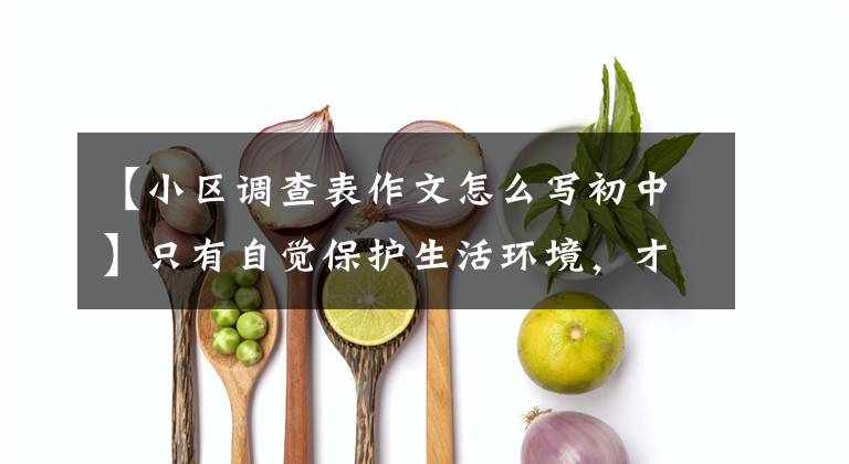 【小区调查表作文怎么写初中】只有自觉保护生活环境，才能拥有美丽的家！(区域环境调查报告)