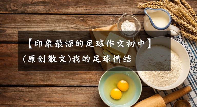 【印象最深的足球作文初中】(原创散文)我的足球情结