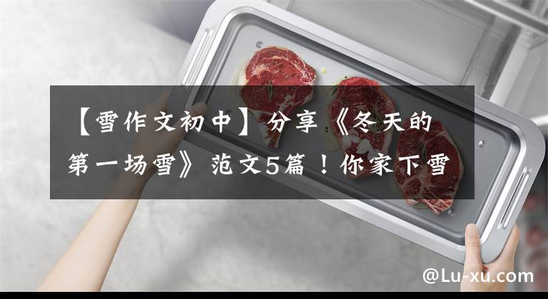 【雪作文初中】分享《冬天的第一场雪》范文5篇！你家下雪了吗？